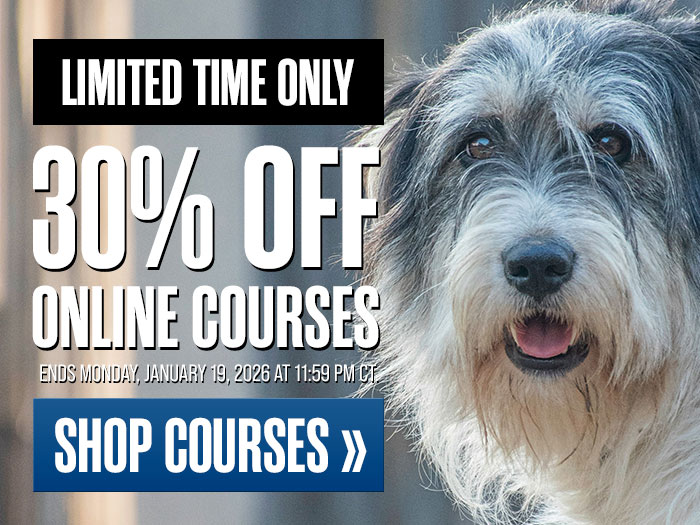 30% Off Online Courses
