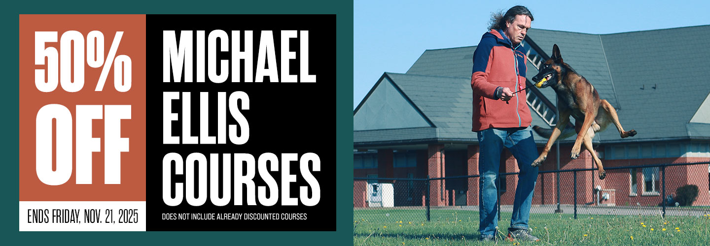 50% Off All Michael Ellis Courses