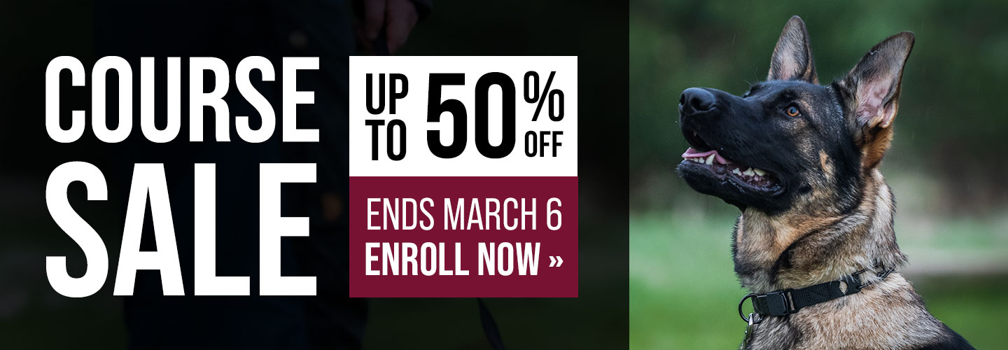 Up to 50% Off Course Sale