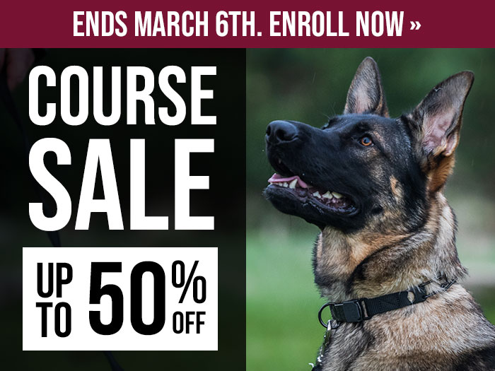 Up to 50% Off Course Sale