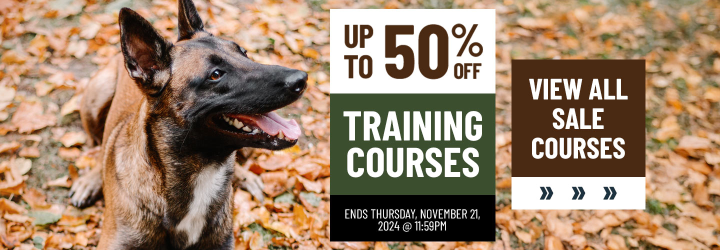 Up to 50% Off Training Courses