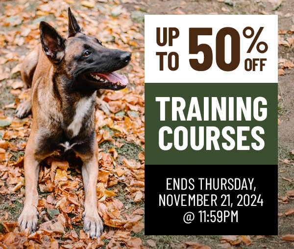 Up to 50% Off Training Courses