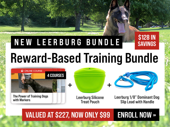 Huge Savings with Our Reward-Based Training Bundle 