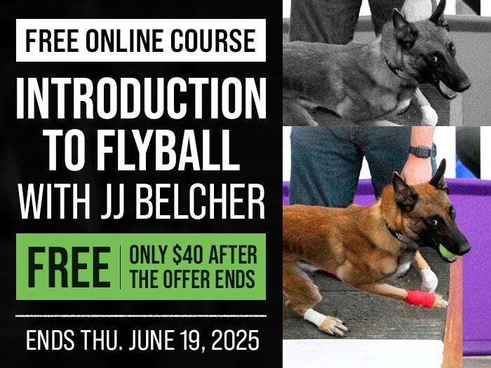 Free Course: Introduction to Flyball with JJ Belcher