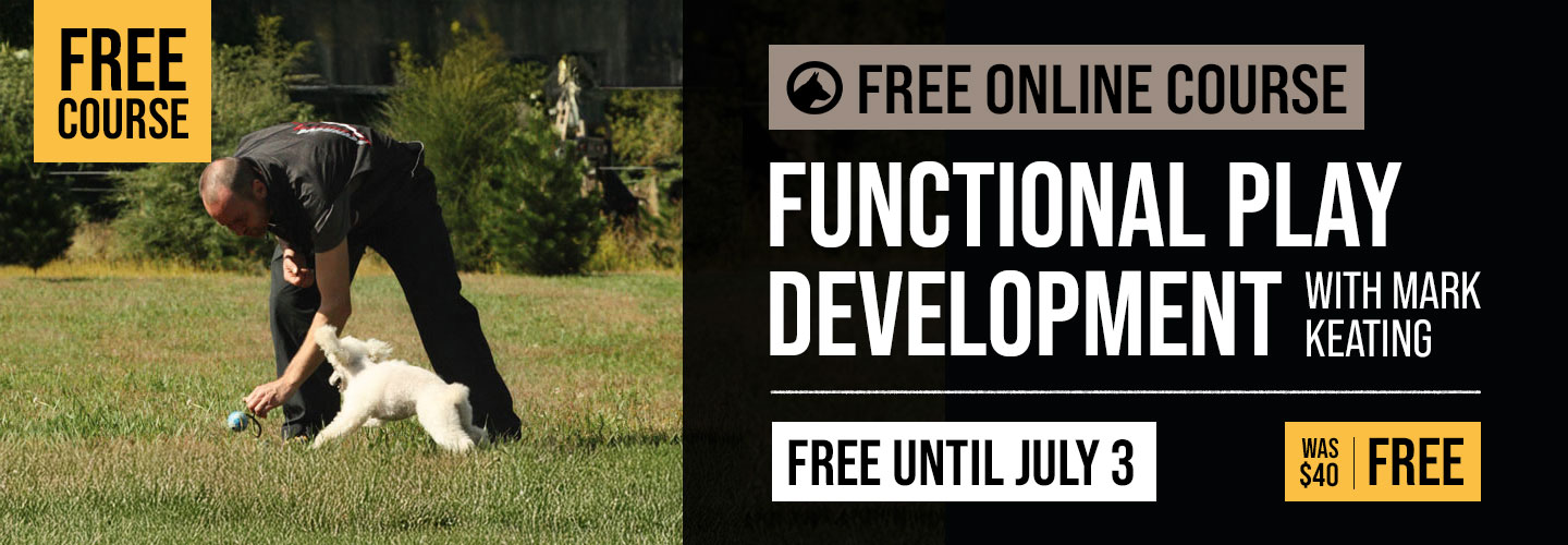 Free Course: Functional Play Development with Mark Keating