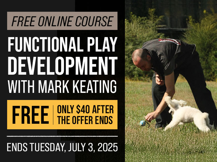 Free Course: Functional Play Development with Mark Keating