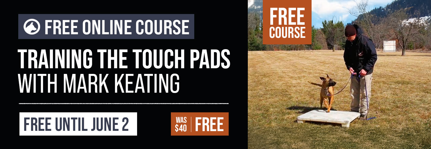 Free Course: Training the Touch Pads with Mark Keating