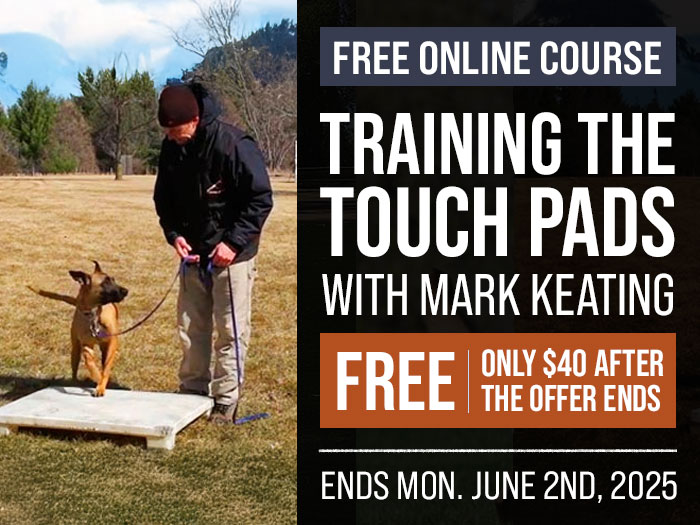Free Course: Training the Touch Pads with Mark Keating