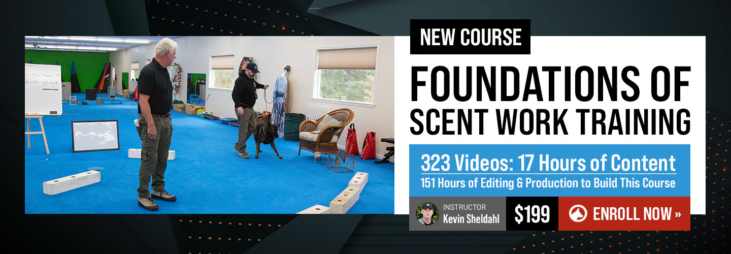 New Course: Foundations of Scent Work with Kevin Sheldahl