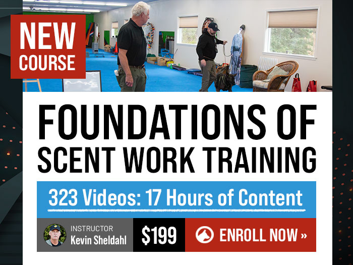 New Course: Foundations of Scent Work with Kevin Sheldahl