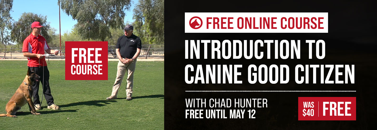 Free Course: Introduction to Canine Good Citizen
