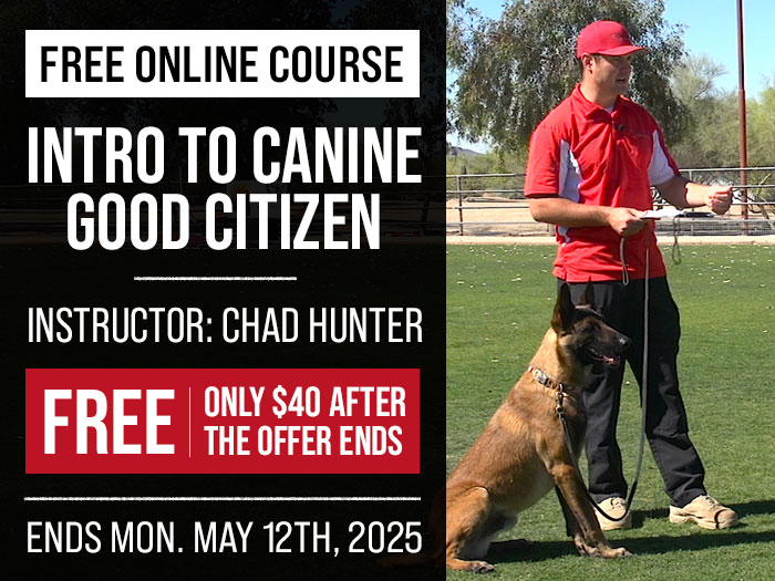 Free Course: Introduction to Canine Good Citizen