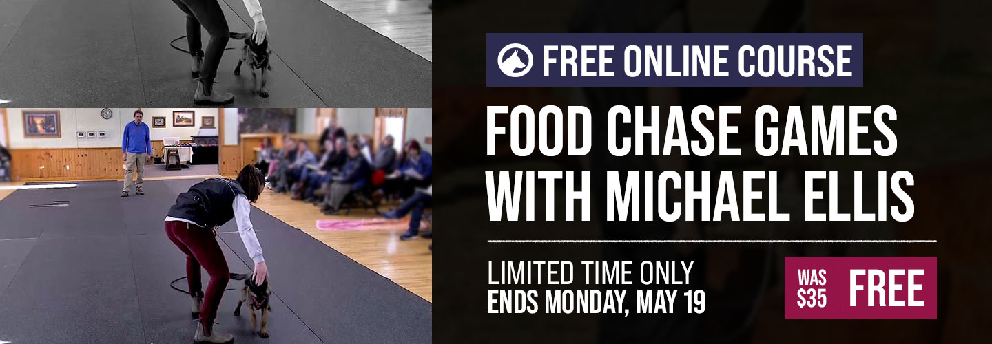 Free Course: Food Chase Games with Michael Ellis