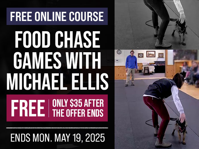 Free Course: Food Chase Games with Michael Ellis