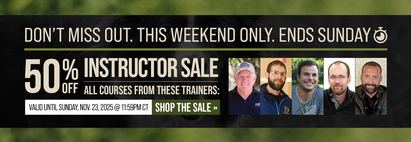 Instructor Sale: 50% Off Courses