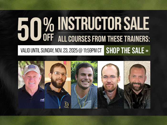 Instructor Sale: 50% Off Courses