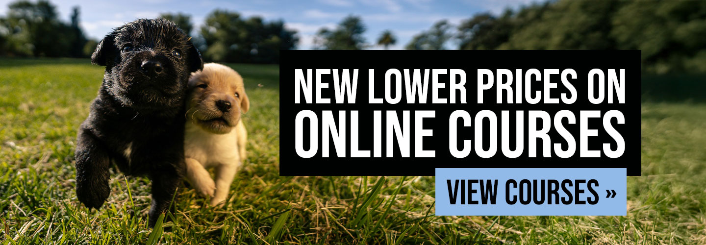 New Lowered Prices on Online Courses