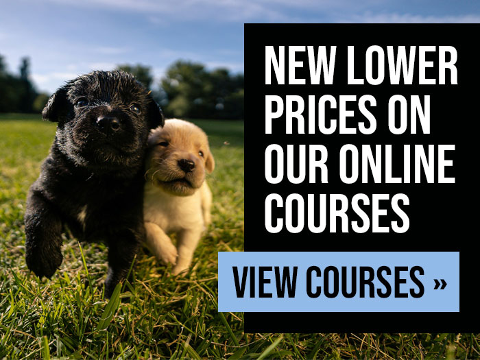 New Lowered Prices on Online Courses