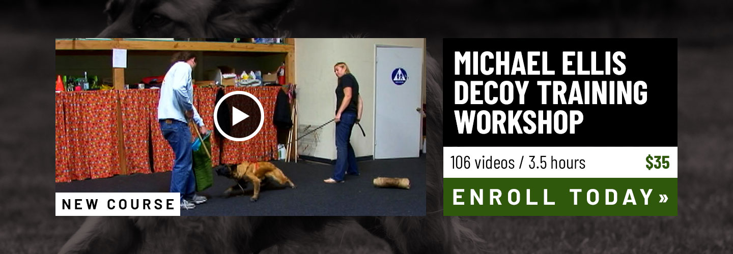 New Course: Michael Ellis Decoy Training Workshop