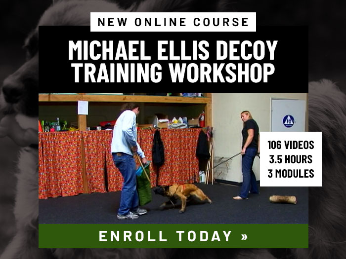 New Course: Michael Ellis Decoy Training Workshop