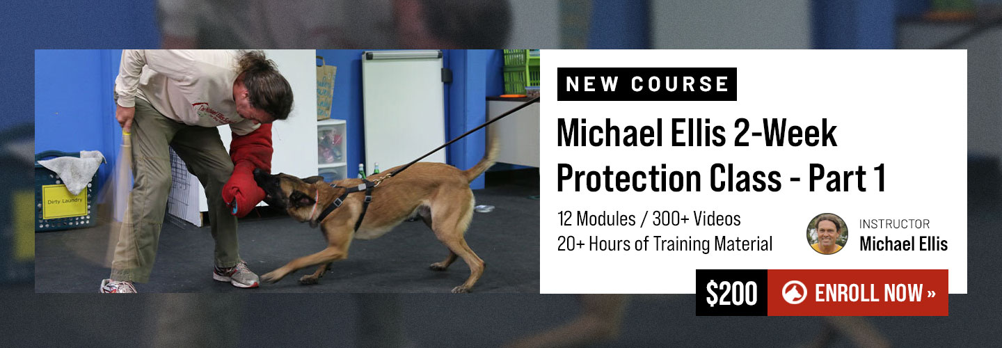 New Michael Ellis Protection Course