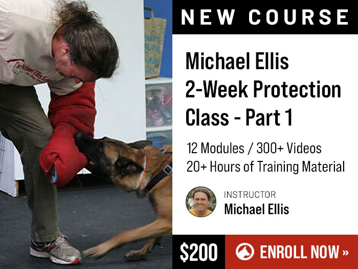 New Michael Ellis Protection Course