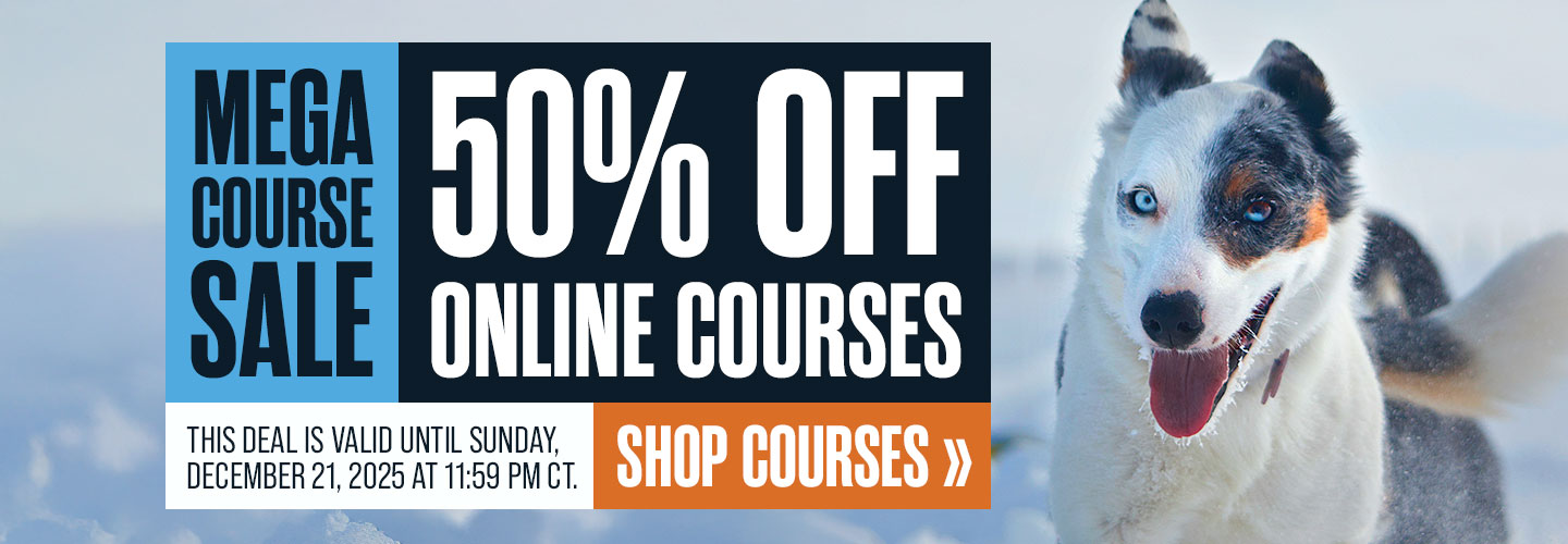 Mega Course Sale - 50% Off Courses