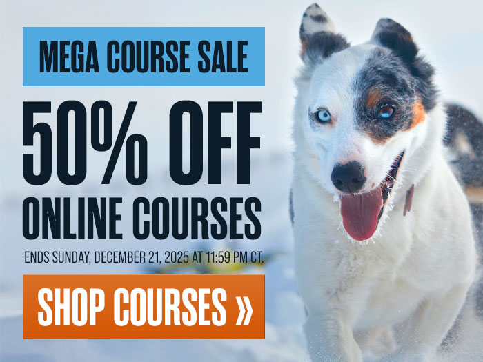 Mega Course Sale - 50% Off Courses