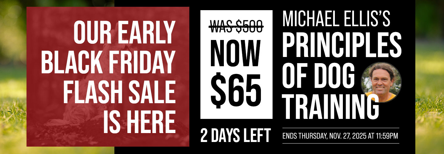 Early Black Friday Sale: PODT is $65 Each - 2 Days Left