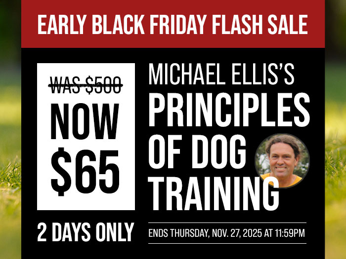 Early Black Friday Sale: PODT is $65 Each - 2 Days Left