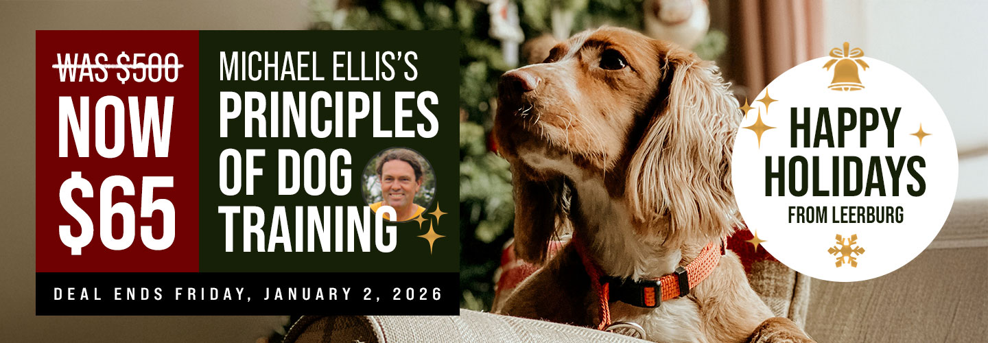 PODT is $65 Until January 2