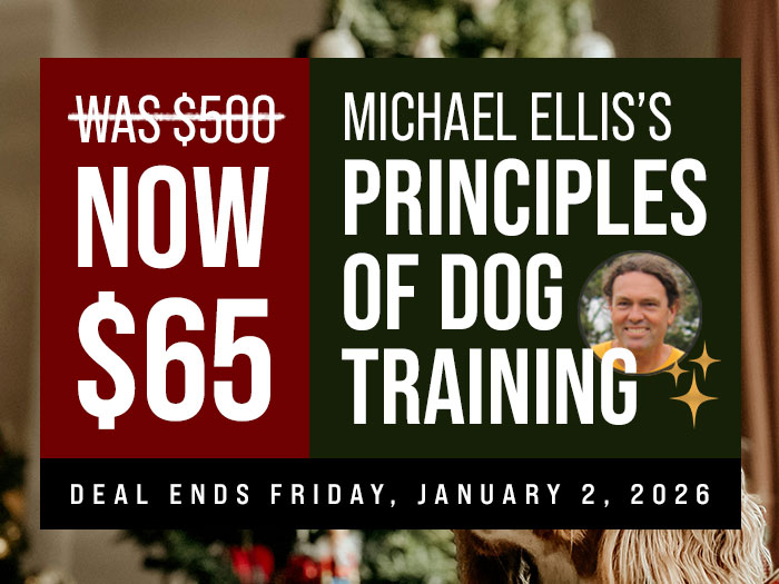 PODT is $65 Until January 2