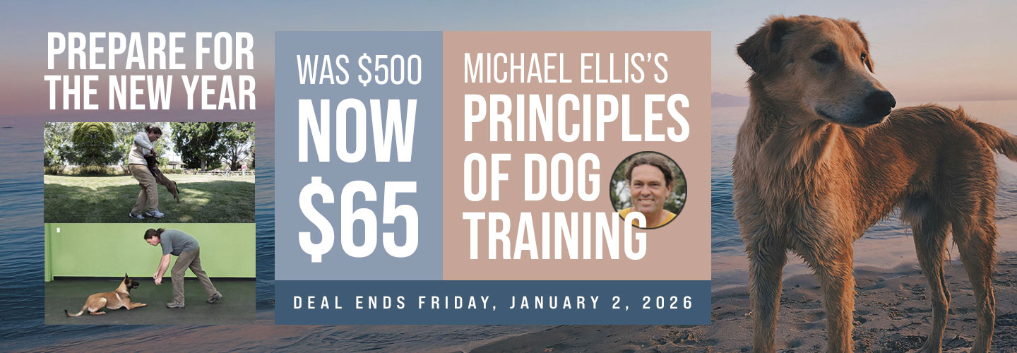 Ends January 2: PODT is $65 