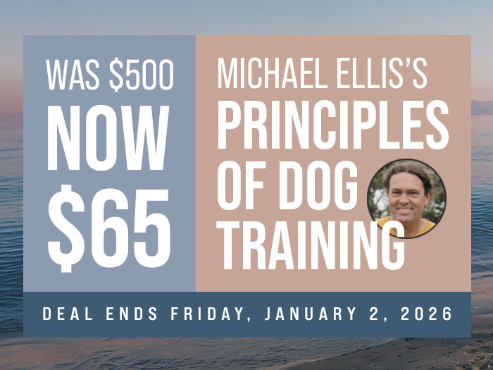 Ends January 2: PODT is $65 