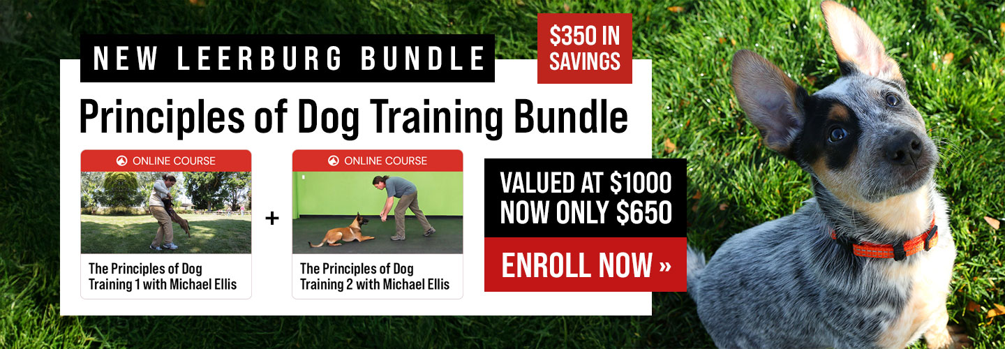Save $350 with Principles of Dog Training Bundle