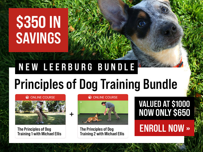 Save $350 with Principles of Dog Training Bundle
