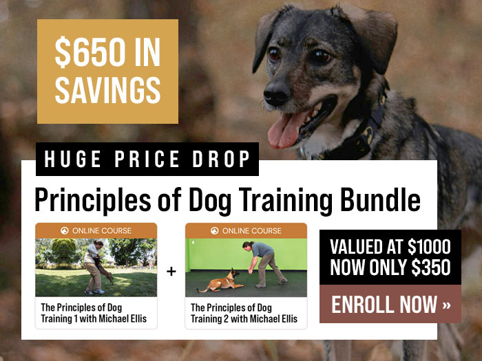 Save $650 with Principles of Dog Training Bundle