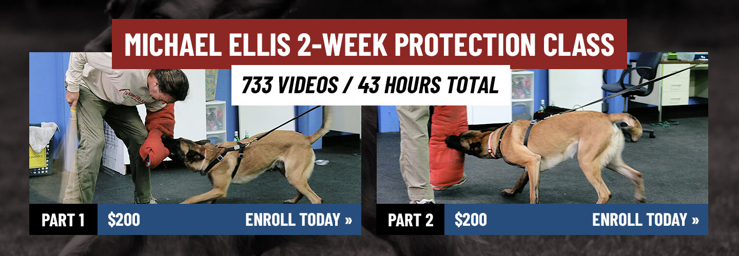Leerburg Dog training gear online courses training videos and more