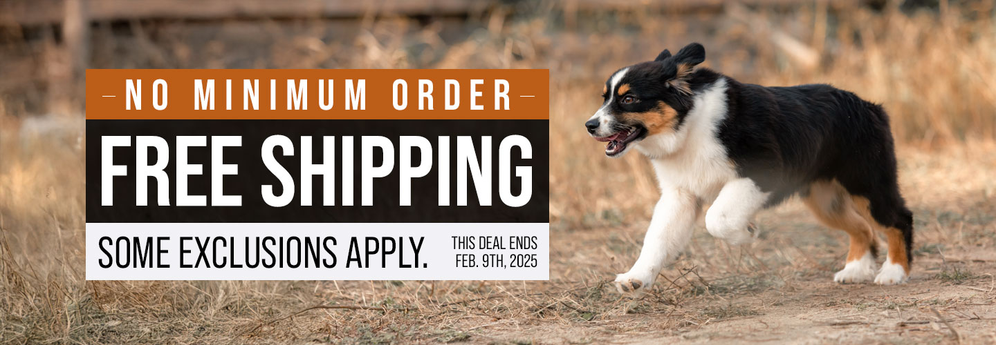 Free Shipping Until  February 9