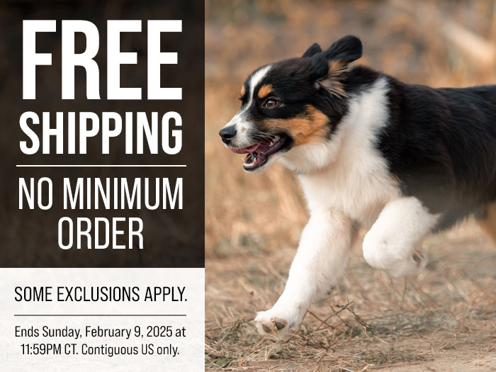 Free Shipping Until  February 9