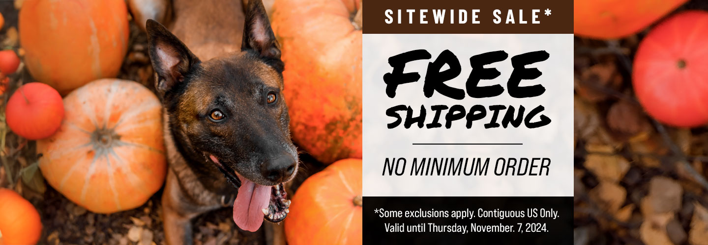 November Free Shipping