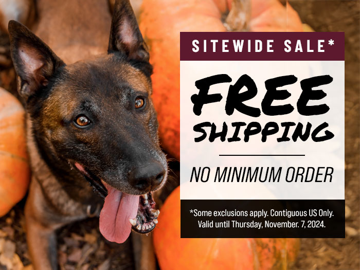 November Free Shipping