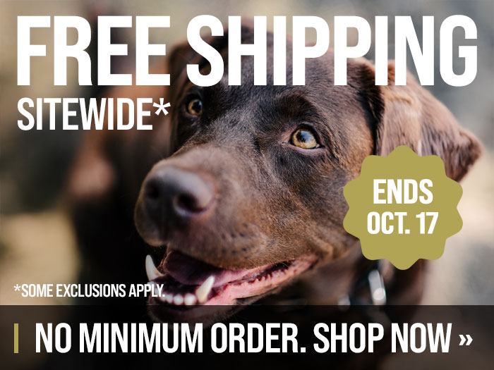 Free Shipping - October