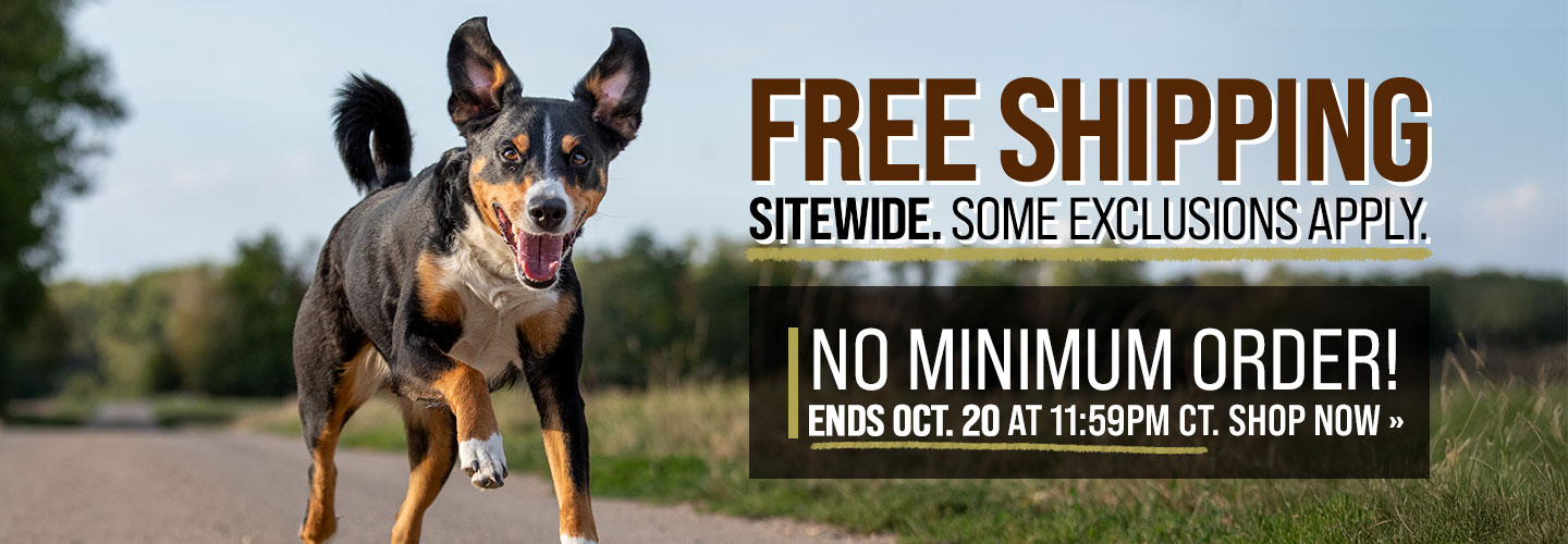Free Shipping Ends on Monday