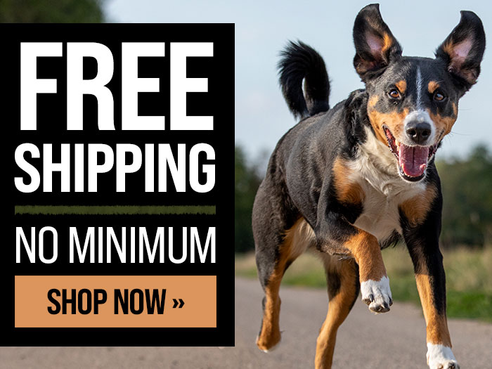 Free Shipping Ends on Monday