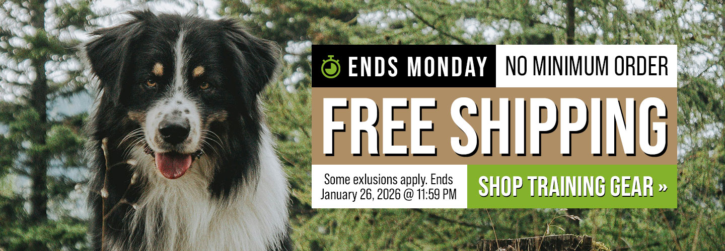 Free Shipping Ends on Monday