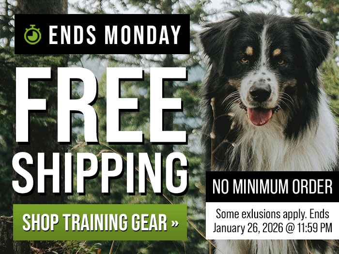 Free Shipping Ends on Monday