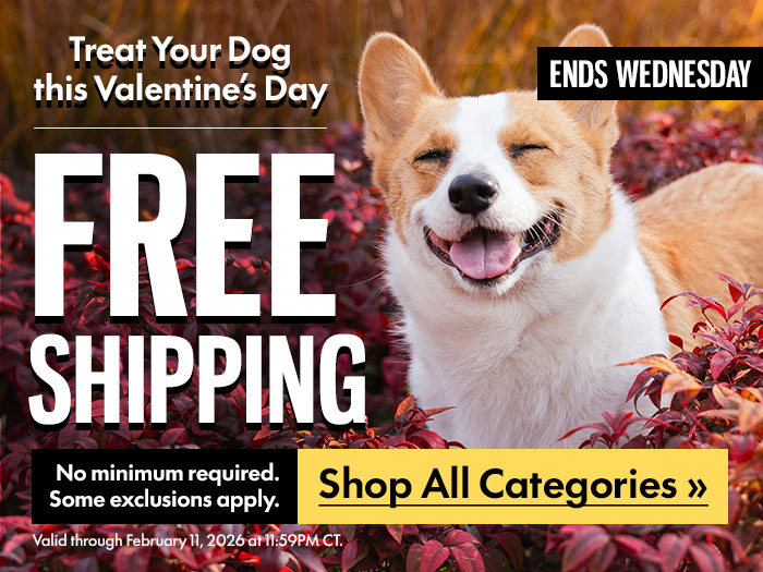 Free Shipping Ends February 11