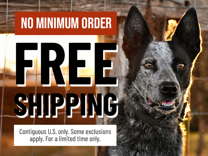 Free Shipping: No Minimum Order