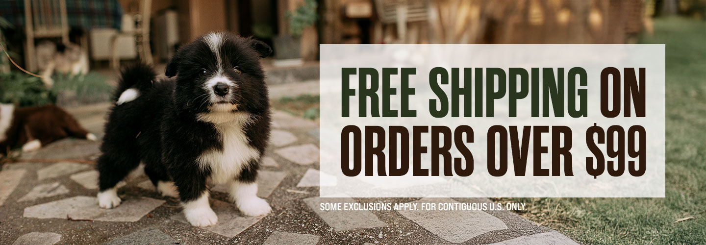 Free Shipping on Orders Over $99